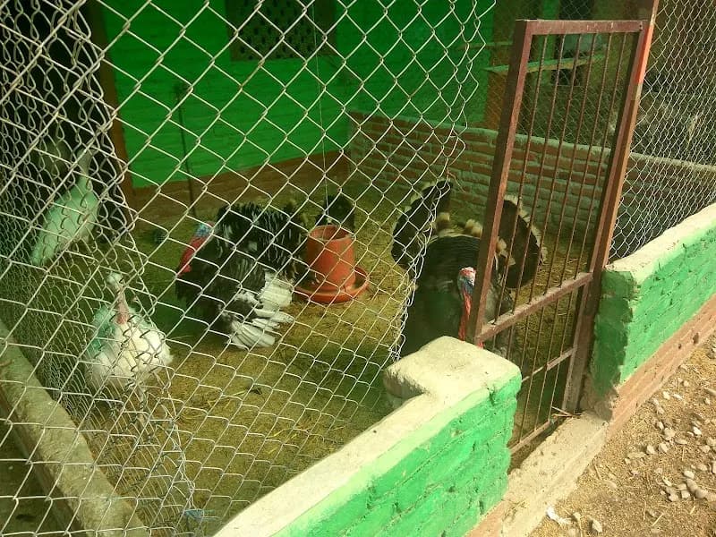 Tamale Farm farm in Bhaktapur, Bagmati