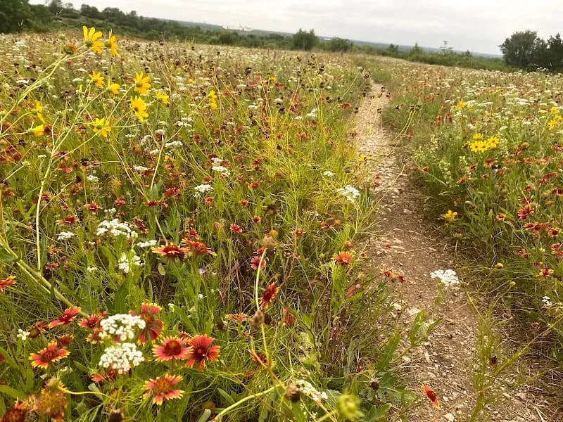 View of Tandy Hills Natural Area / Stratford Nature Area in Fort Worth, TX
