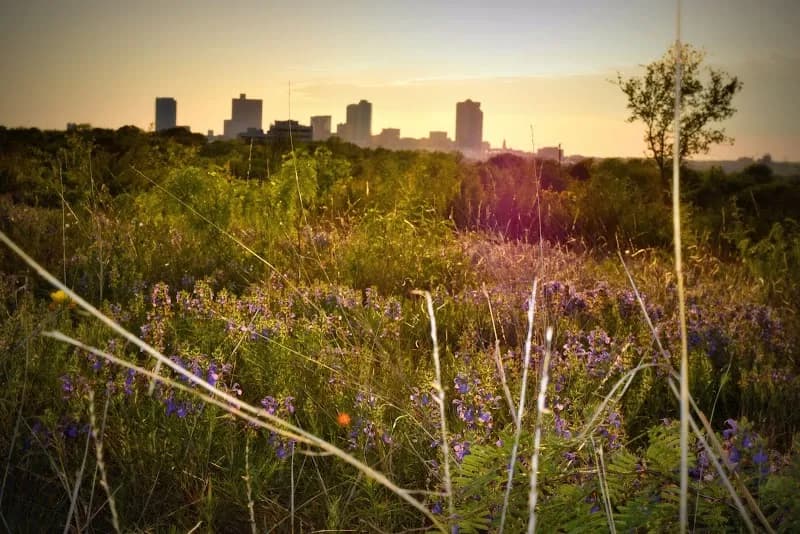 View of Tandy Hills Natural Area / Stratford Nature Area in Fort Worth, TX