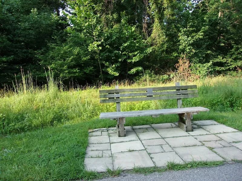 View of Tappecue Trail in Maryland Heights, MO