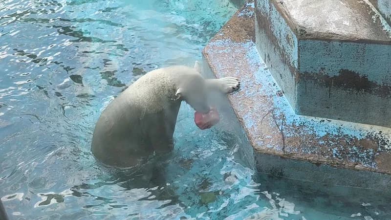 View of Tennoji Zoo in Osaka, OS