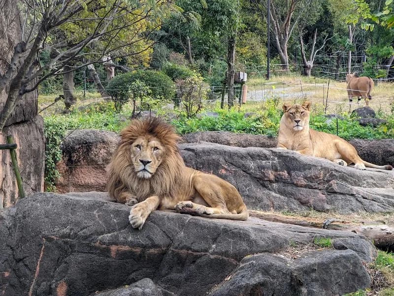 View of Tennoji Zoo in Osaka, OS