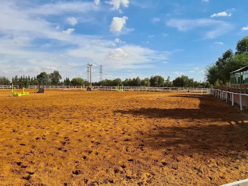 Tensift Children's Playground playground in Tensift, MS