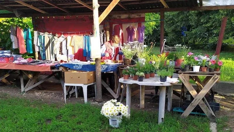 Termelői Hangyapiac farmers market in Halásztelek, Budapest