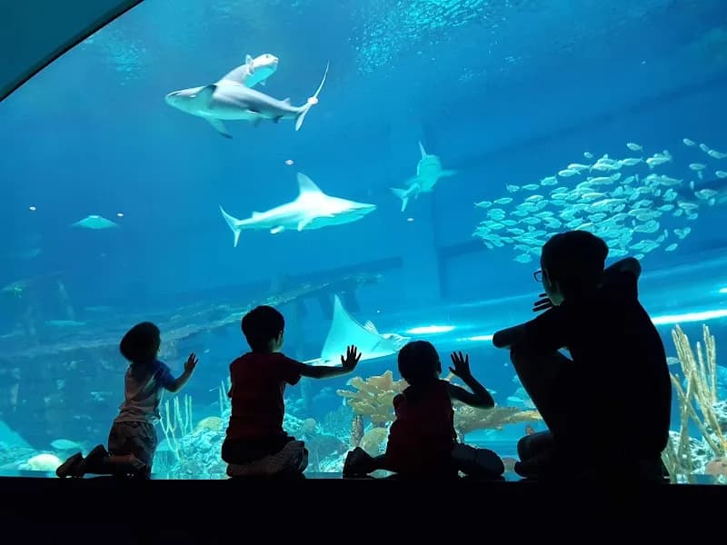 Texas State Aquarium aquarium in Corpus Christi, TX