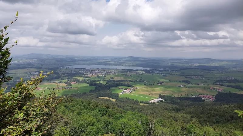 Thalgau Forest Trails (Thalgauer Waldwege) outdoor adventure in Thalgau, Salzburg