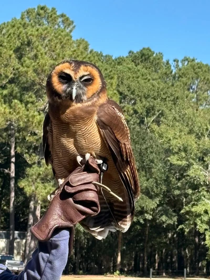 View of The Avian Conservation Center & Center for Birds of Prey in Charleston, SC