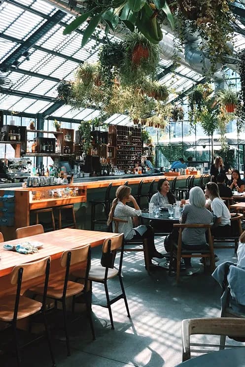 View of The Backyard in Bee Cave, TX