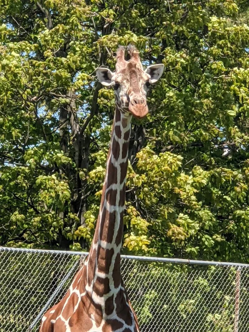 View of The Buffalo Zoo in Buffalo, NY