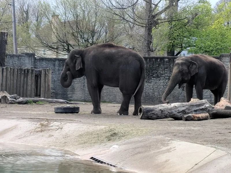 View of The Buffalo Zoo in Buffalo, NY