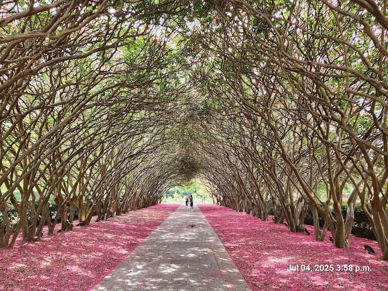 The Dallas Arboretum and Botanical Garden botanical garden in Arlington, TX