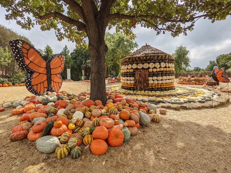 View of The Dallas Arboretum and Botanical Garden in Arlington, TX