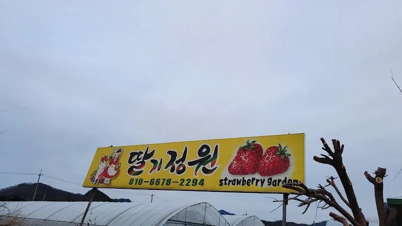 View of The Dream Strawberry Farm in Namyangju, GG