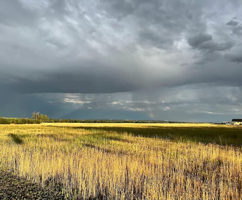 View of The Field Open Space in Broomfield, CO