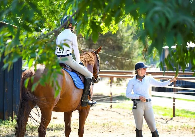 View of The Four Winds in Fort Collins, CO