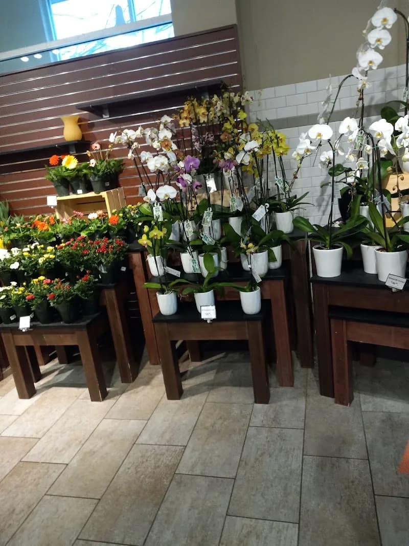 View of The Fresh Market in Crabtree Valley, NC