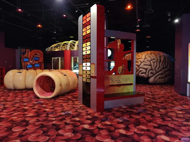 View of The Health Museum in Houston, TX