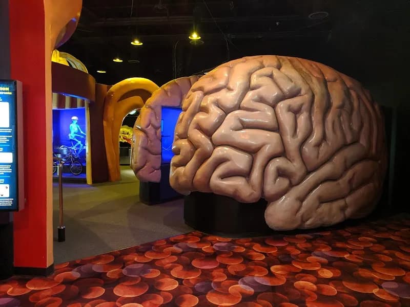 View of The Health Museum in Houston, TX