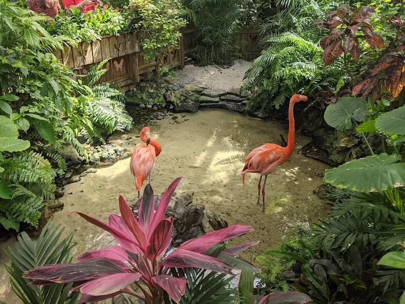 The Key West Butterfly and Nature Conservatory garden in Key West, FL