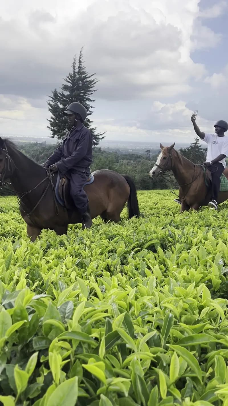 View of The Limuru Stables & Equestrian Center in Limuru, Nairobi