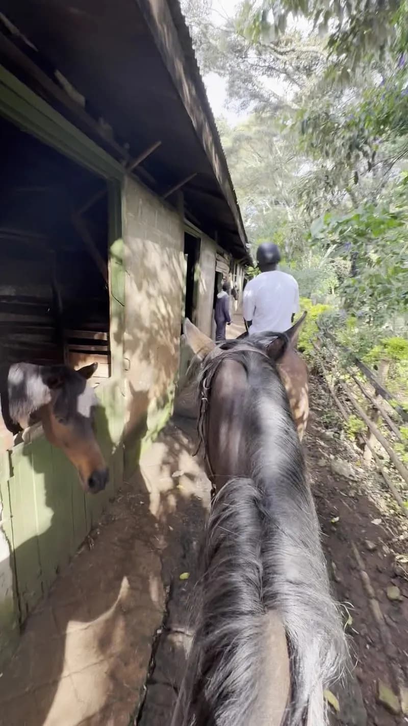 View of The Limuru Stables & Equestrian Center in Limuru, Nairobi