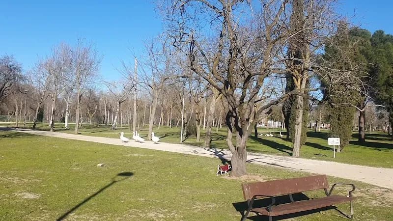 View of The park Soto Mostoles in Móstoles, Madrid