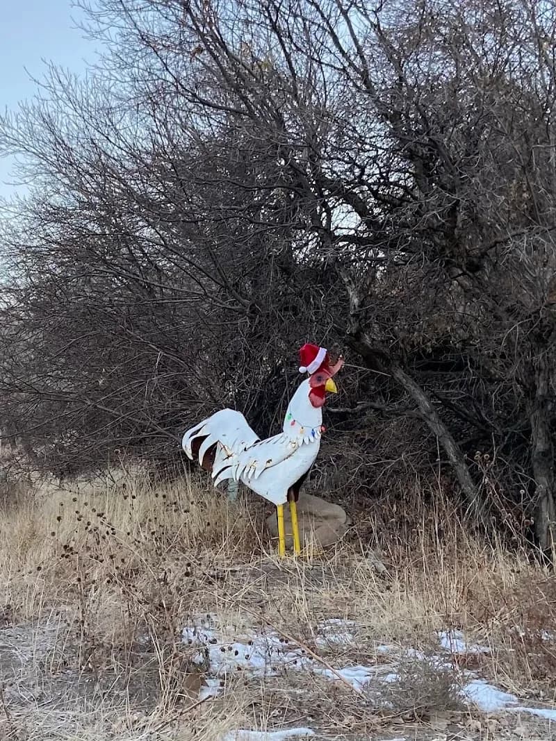 View of The Rooster in Ogden, UT