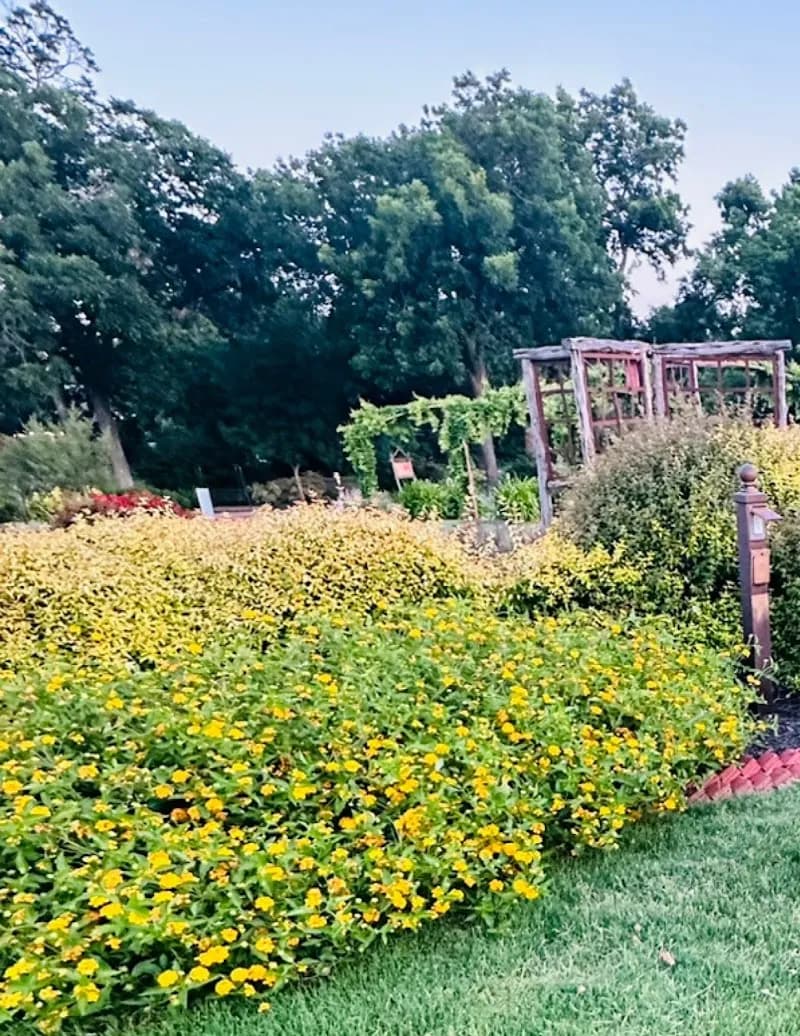 The Rose Gardens of Farmers Branch garden in Farmers Branch, TX