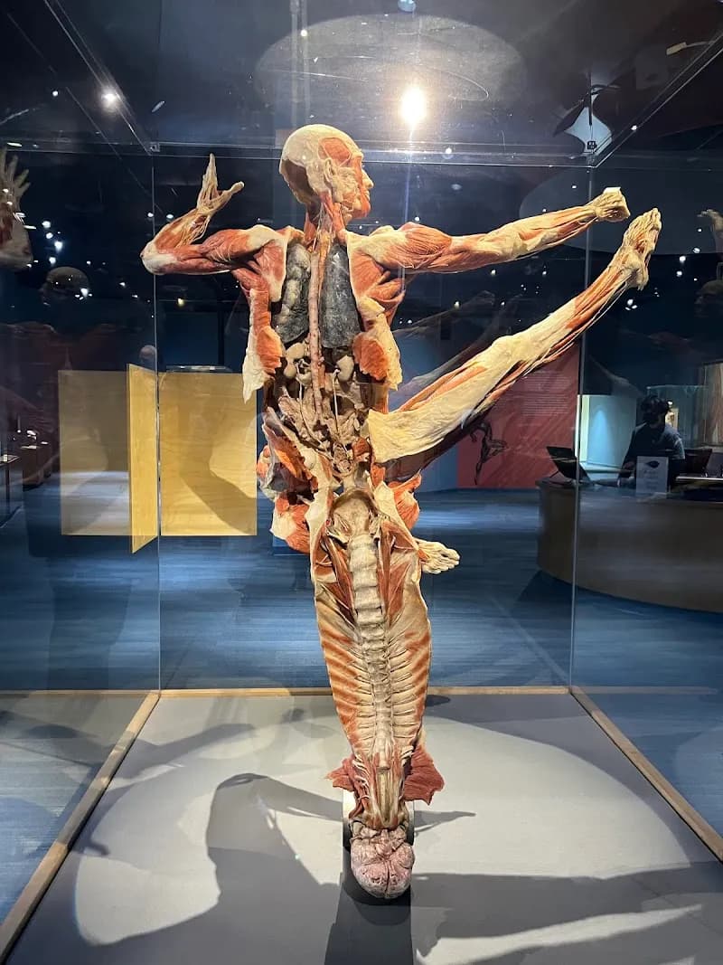 View of The Tech Interactive in San Jose, CA