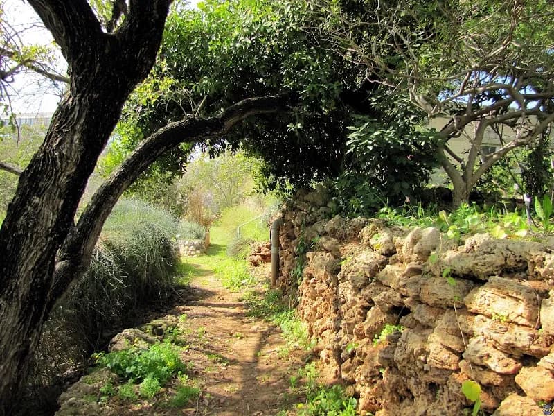The Tel Aviv Botanical Gardens botanical garden in Beit Dagan, TA