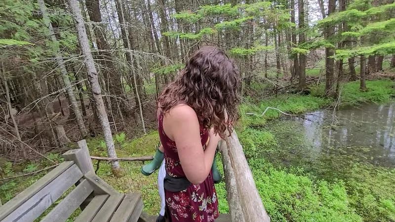 View of Thorne Swift Nature Preserve in Harbor Springs, MI