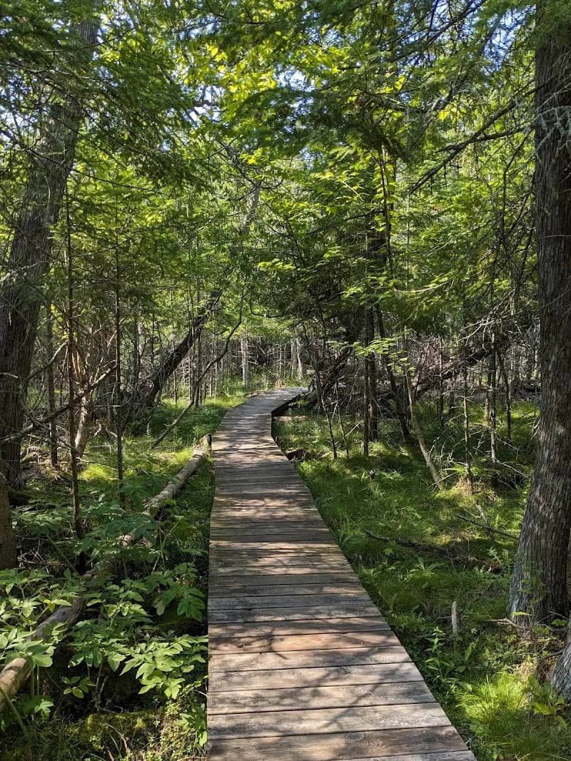 View of Thorne Swift Nature Preserve in Harbor Springs, MI