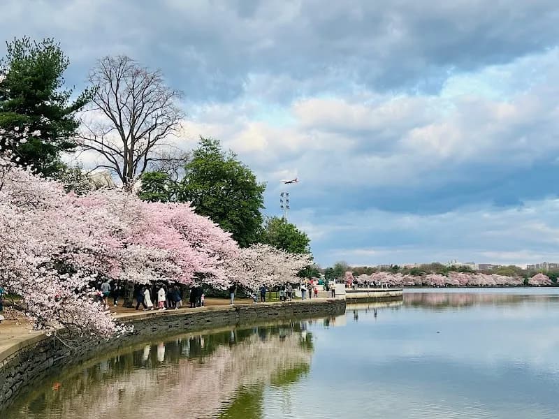 View of Tidal Basin in Washington DC, DC