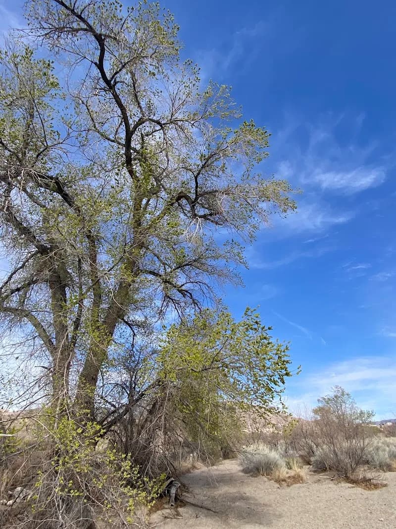 View of Tijeras Arroyo Trailhead in Tijeras, NM