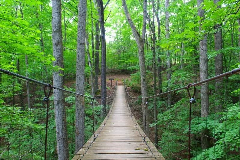 View of Tims Ford State Park in Moulton, AL