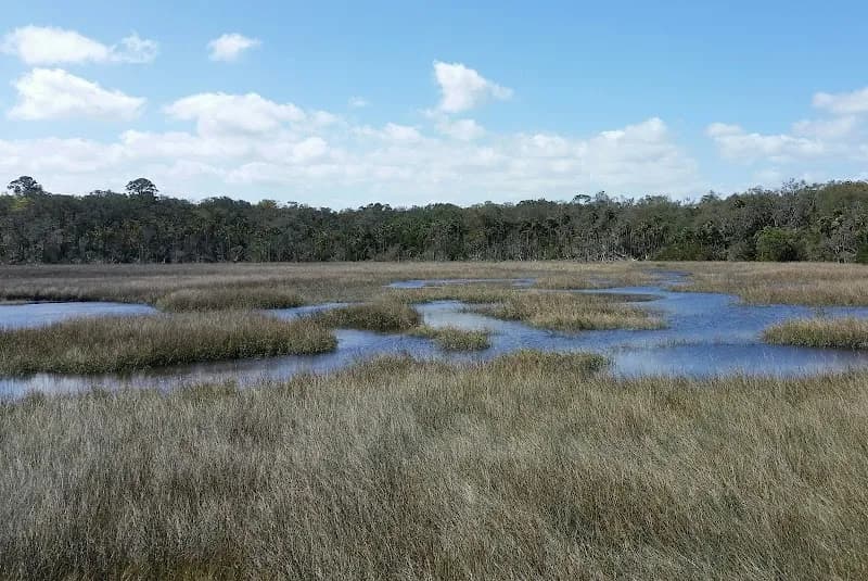 Timucuan Ecological and Historical Preserve nature preserve in Jacksonville, FL