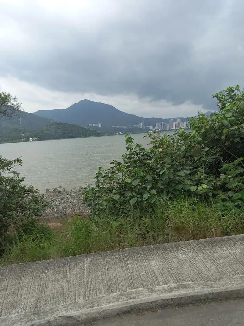 View of Ting Kok Road Cycling Track in Tai Po, HK