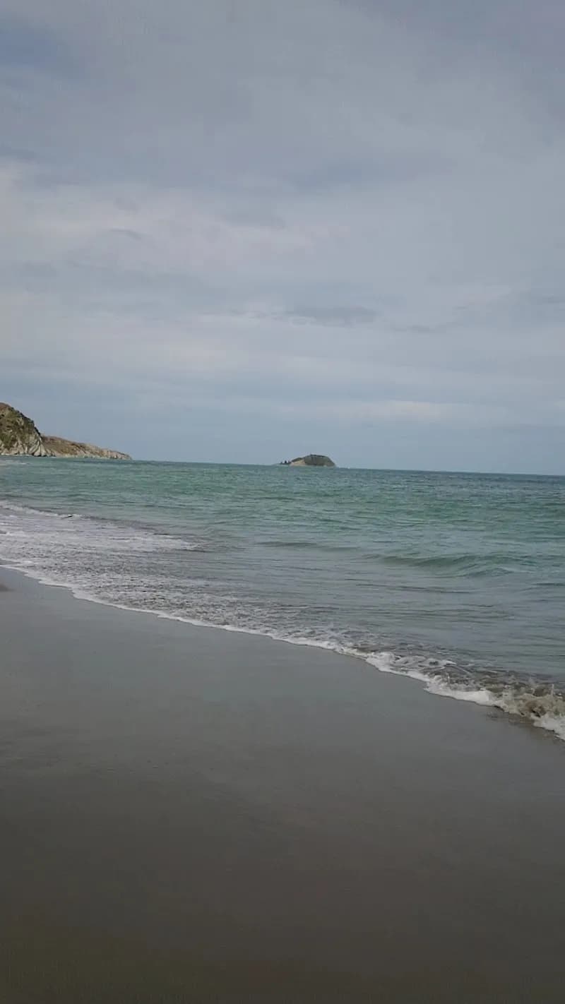 View of Titirangi Domain in Titirangi, AKL