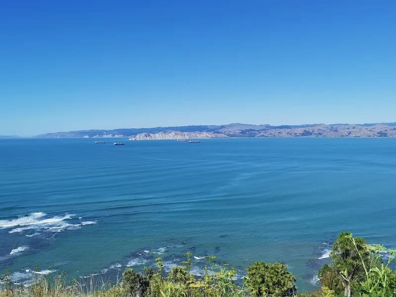 View of Titirangi Domain in Titirangi, AKL