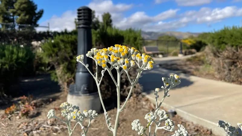 View of Tom Evatt Park in Milpitas, CA