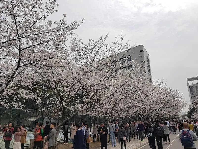 Tongji University university in Putuo, SH
