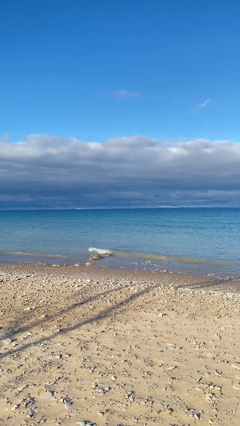 View of Torch Bay Nature Preserve in Bellaire, MI