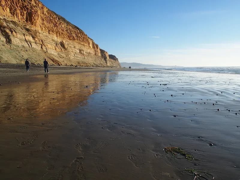 View of Torrey Pines State Beach in Del Mar, CA