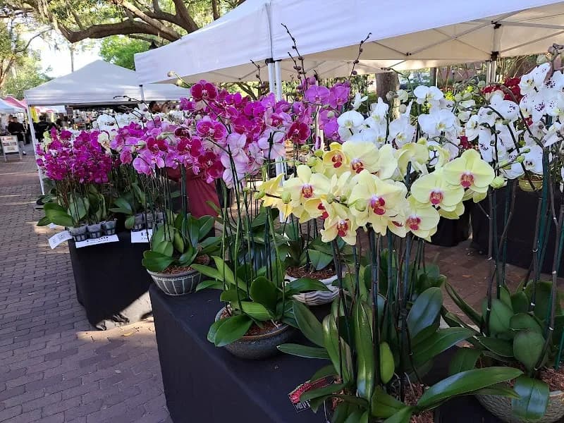View of Town Square in Windermere, FL