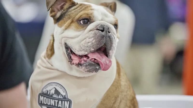 View of Tradex in Abbotsford, BC