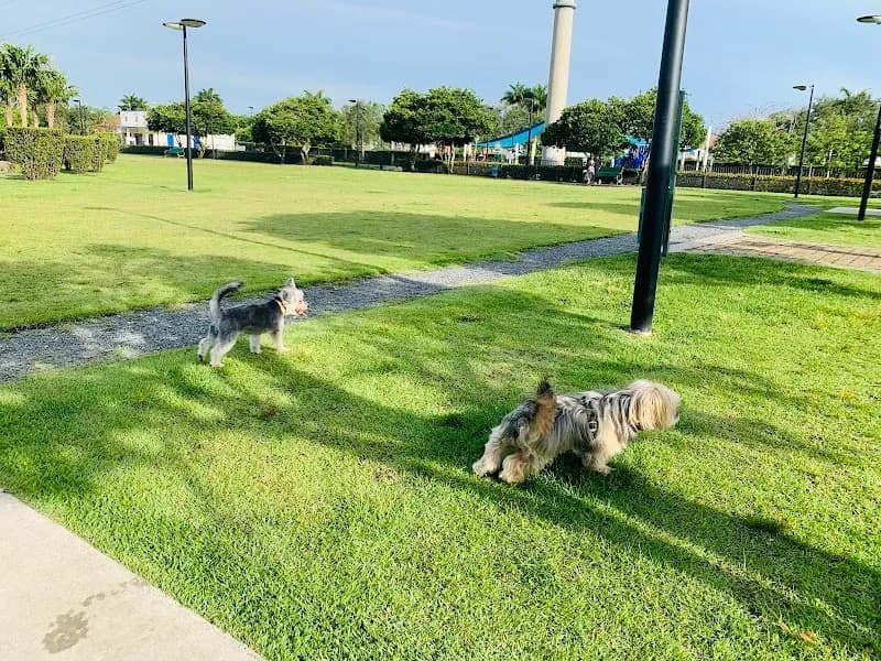 Trails & Tails Park dog park in Doral, FL