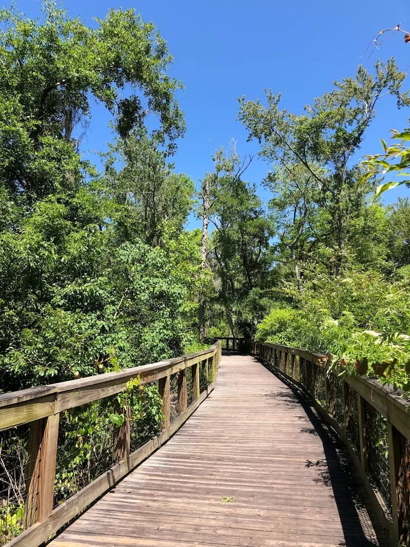 Tree Hill Nature Center nature preserve in Arlington, FL