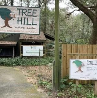 View of Tree Hill Nature Center in Arlington, FL