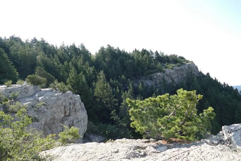 Tree Spring Trail route in Cedar Crest, NM