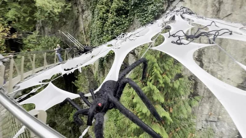 View of Treetops Adventure in Coquitlam, BC